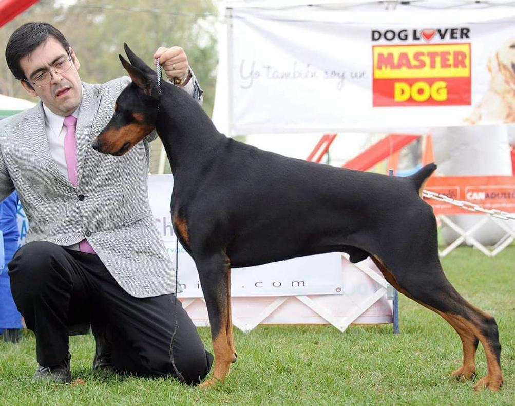 Rock It Rock Tercero