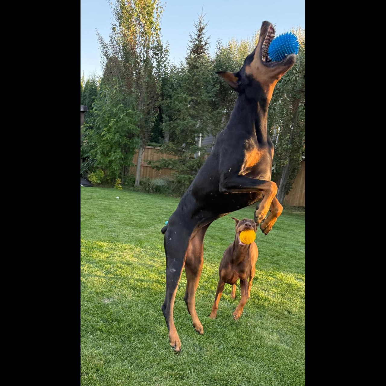 Milli y Flor with Jugando con la familia Fonk