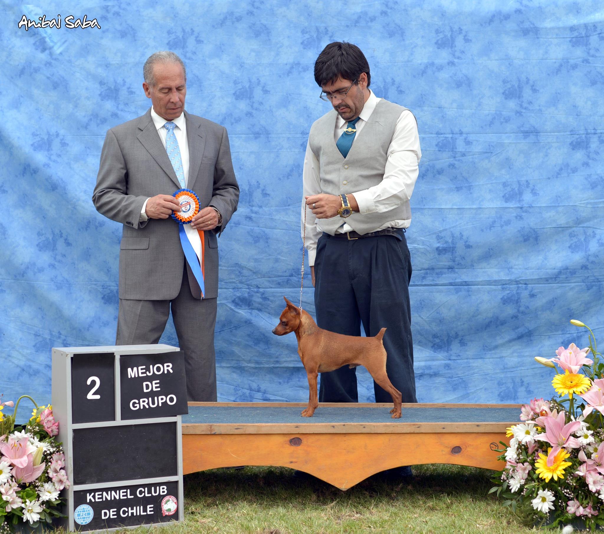 Marisol 'N Marlex Bold Beginnings (Diego)