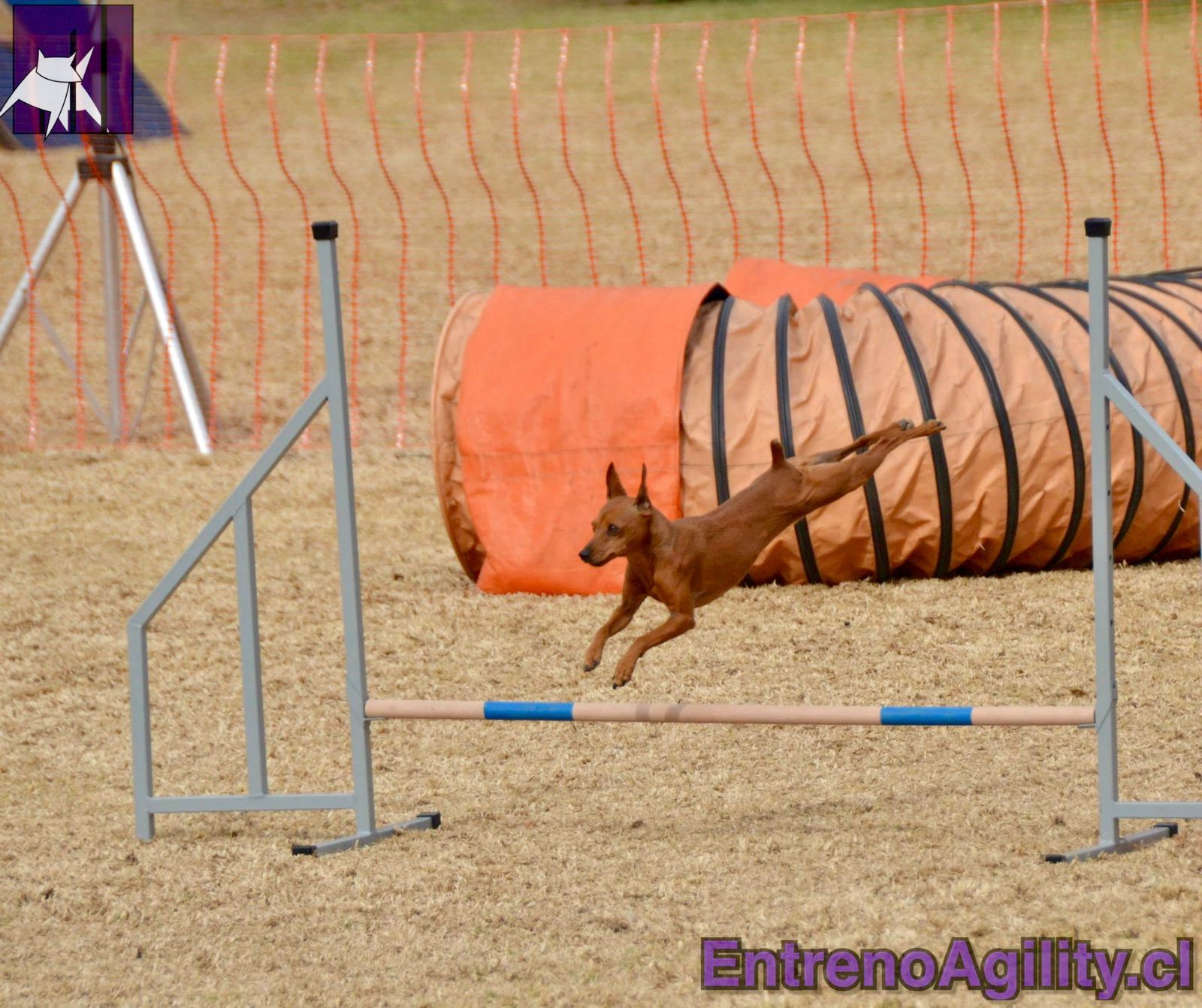 Spam Rock-Stone - Volando en el Salto