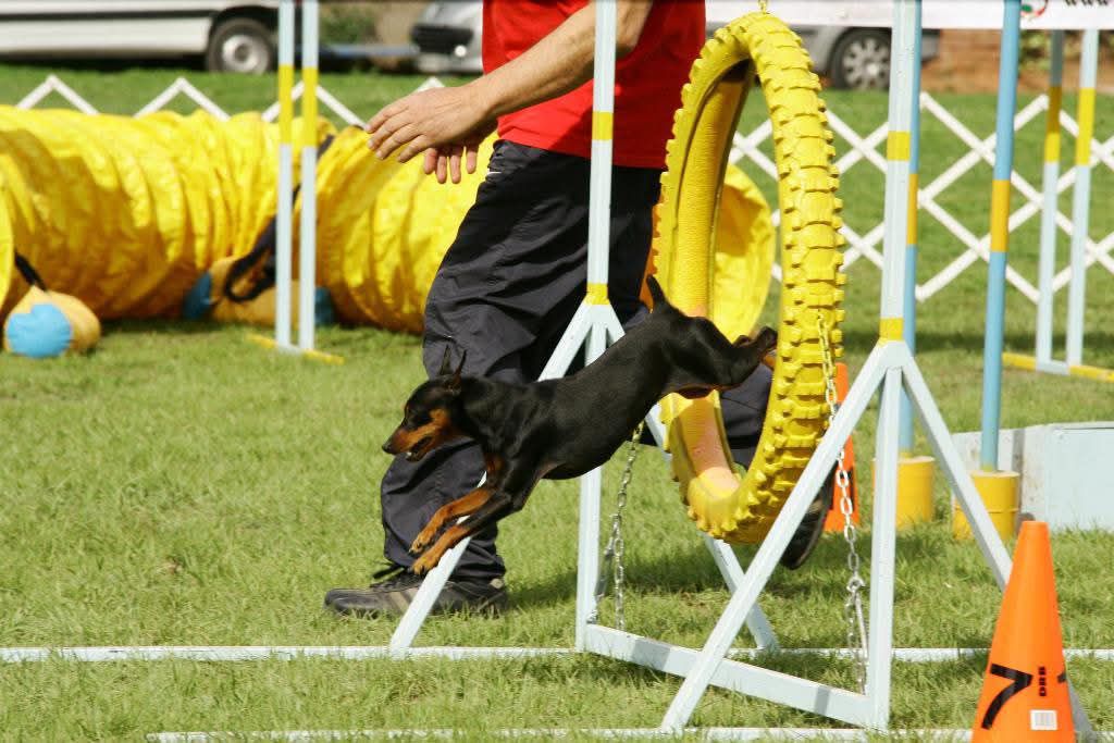 Tess Rock-Stone - La Maravilla