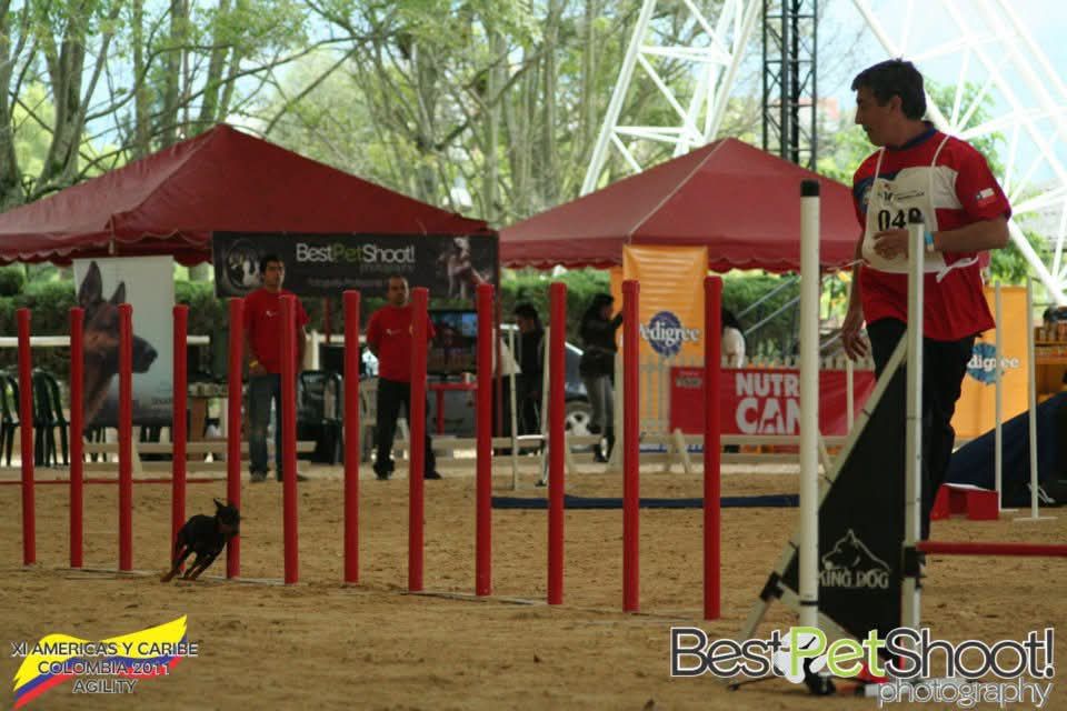 Tess Rock-Stone - Compitiendo en Colombia