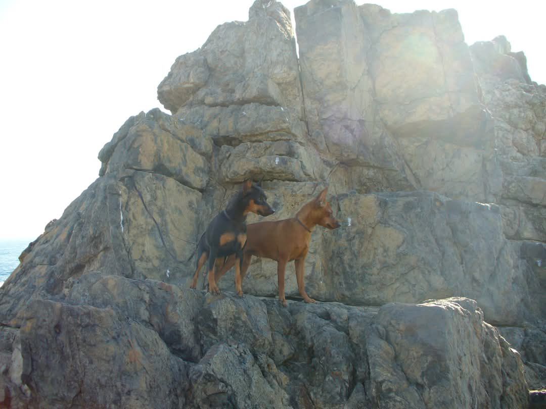Tess y Beth Rock-Stone - Recorriendo Los Molles